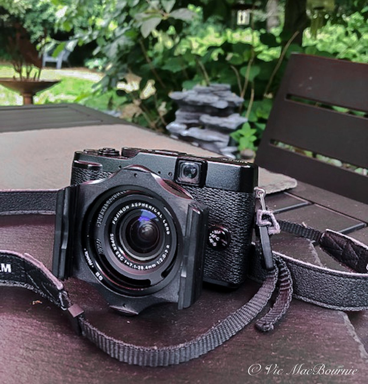 Ten year review: Fujifilm X10 is ideal camera for garden